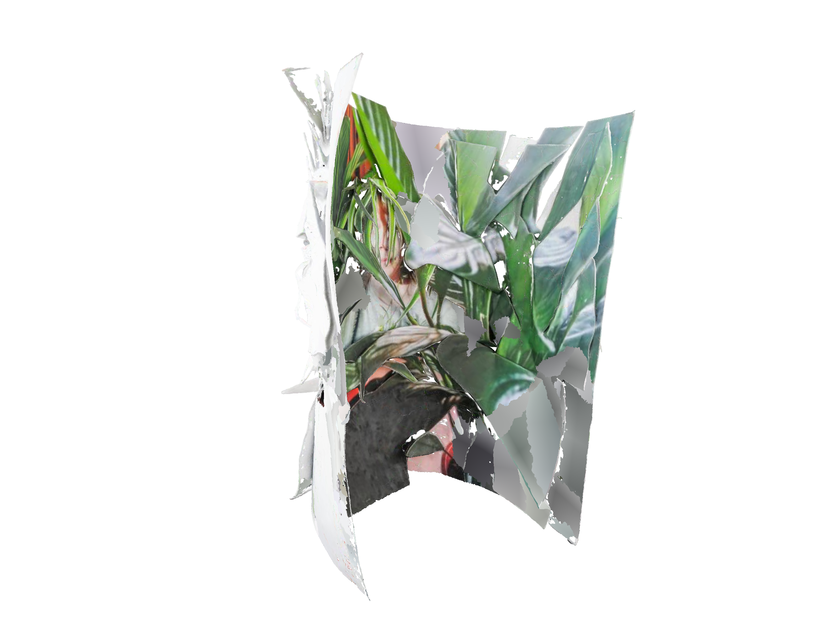 HUISELIJKE JUNGLE | DOMESTIC JUNGLE